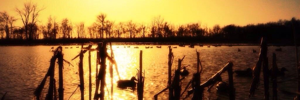 AllThingsDuck's profile banner image