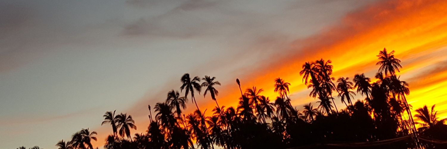 sirroro's profile banner image