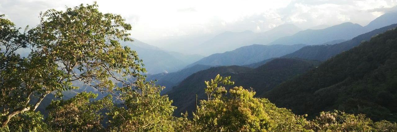 ejariasv's profile banner image