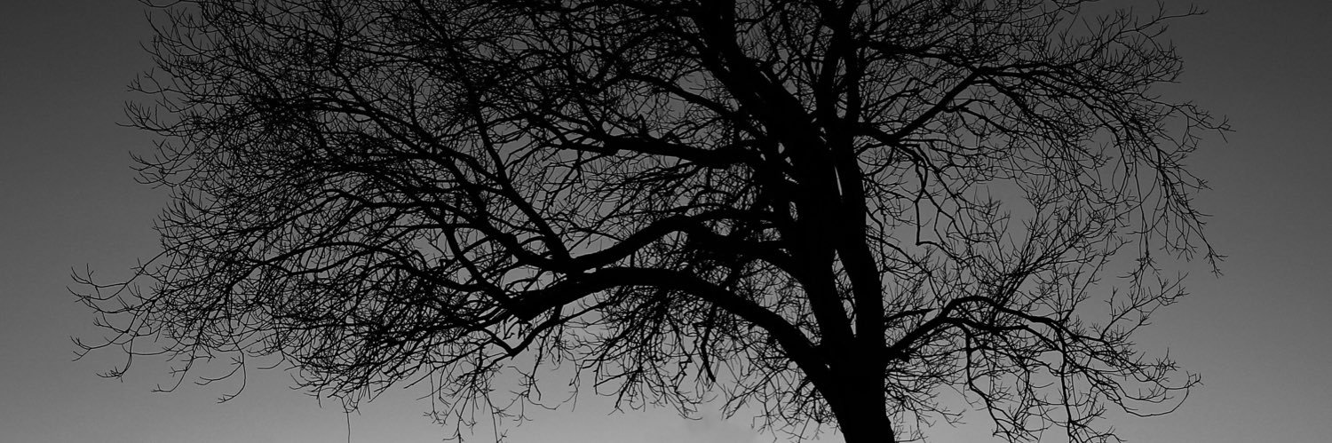 ramiropedron25's profile banner image