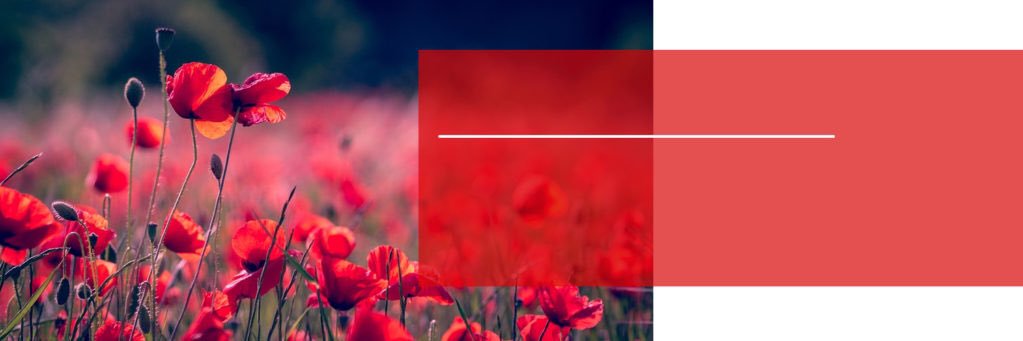 ss01213's profile banner image