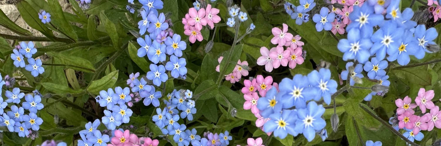 raskolnikova_n's profile banner image