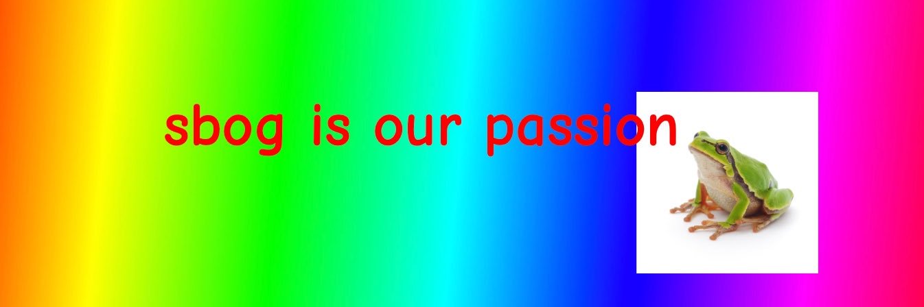 SBOG banner