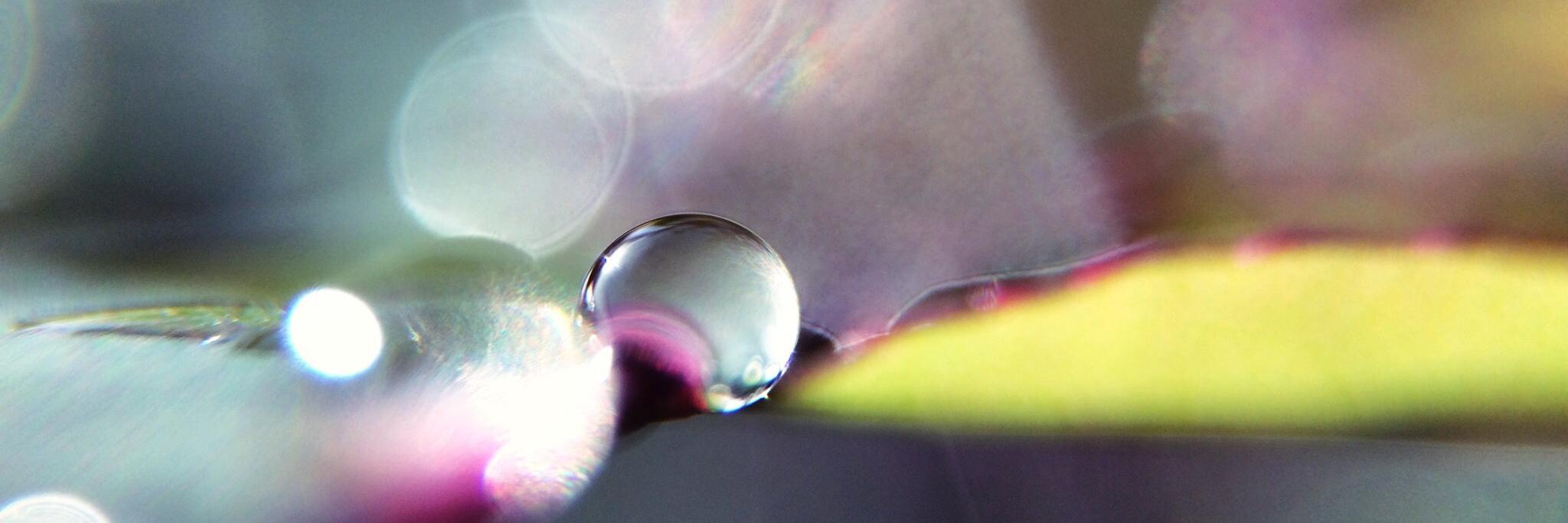 zippylomax's profile banner image