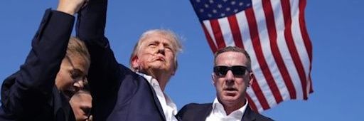 sueq313's profile banner image