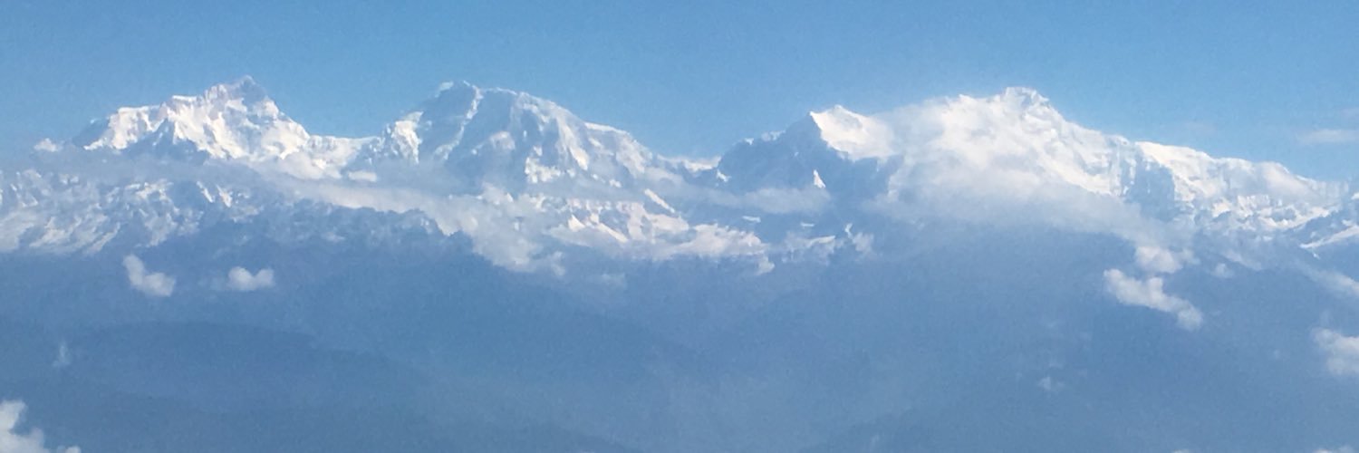 Sarah Hammer-Kroening banner