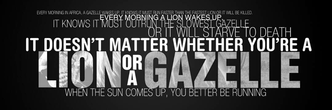 Don_Rafah's profile banner image