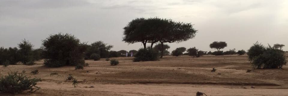 7777Aref's profile banner image