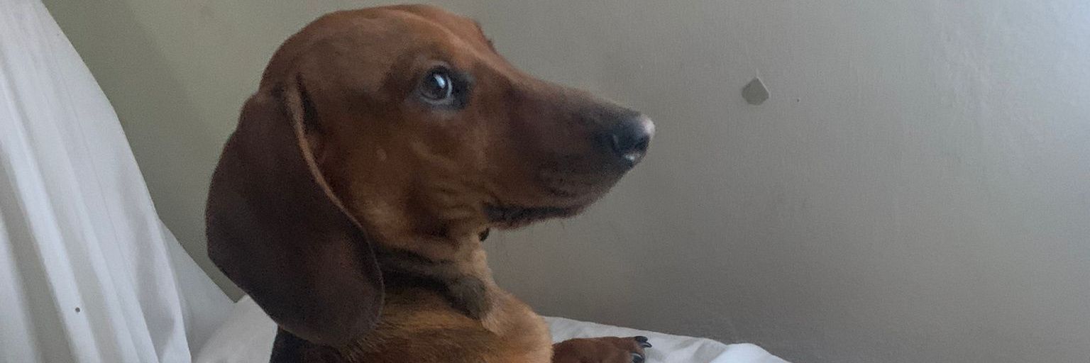 Marì Melogranì  banner