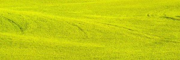 batakfoundation Profile Banner