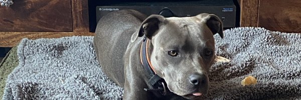 Paulsin2 Profile Banner