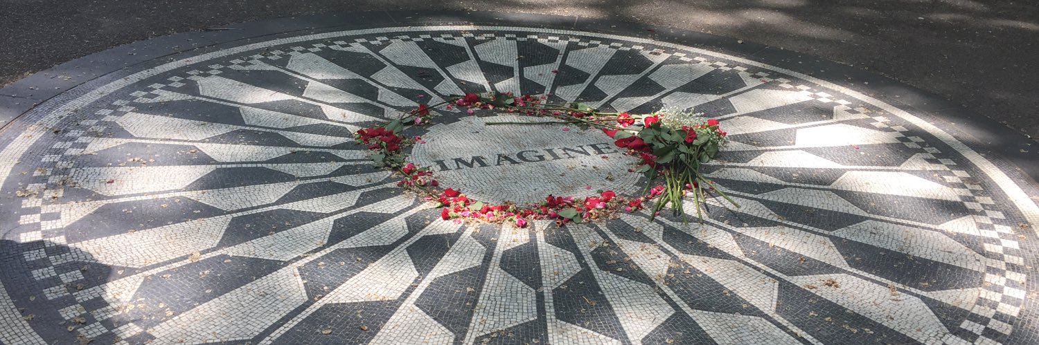 Dr. Cynthia Colen banner