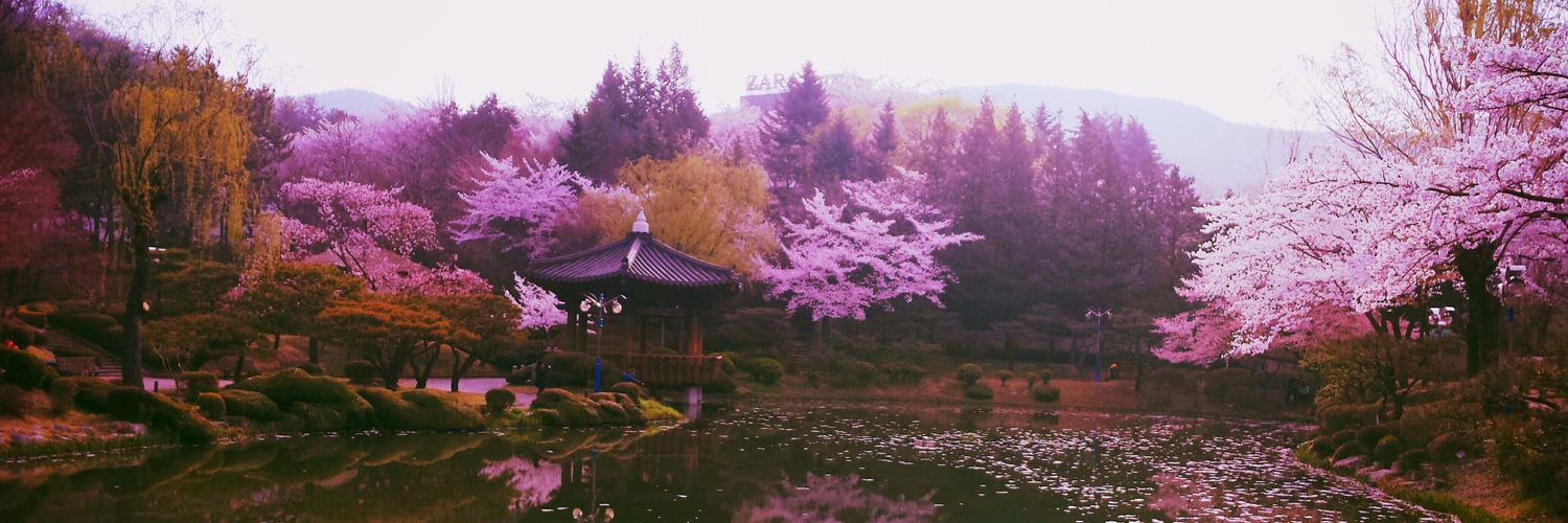 LauraBasco's profile banner image