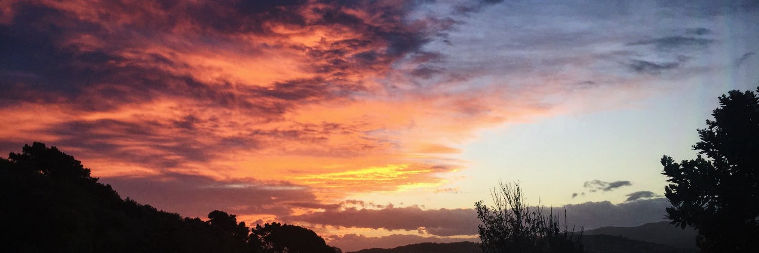 salomelbm's profile banner image