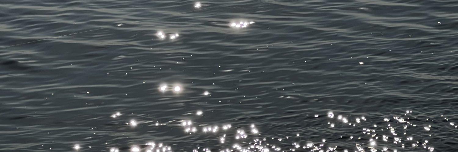 nbertoldi_'s profile banner image