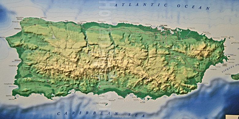 Cito PR 🥋 🇵🇷 banner