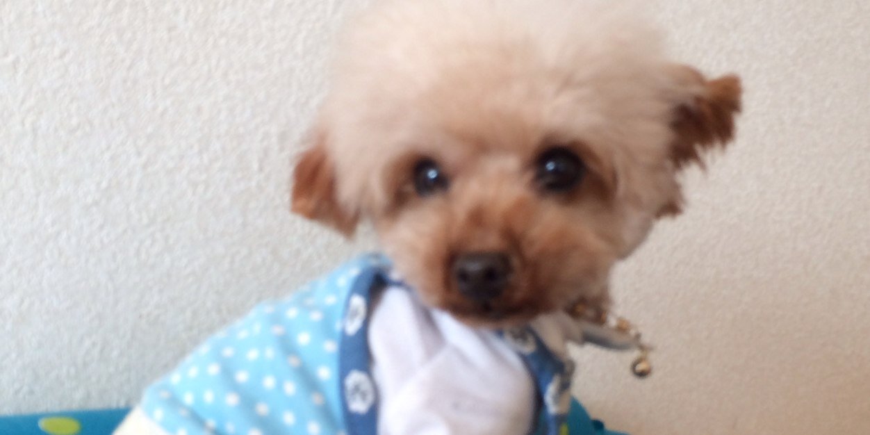 sleep753756's profile banner image