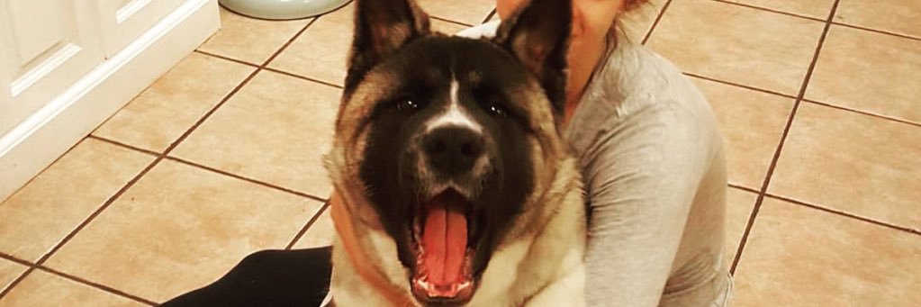 MissLozMckenzie's profile banner image
