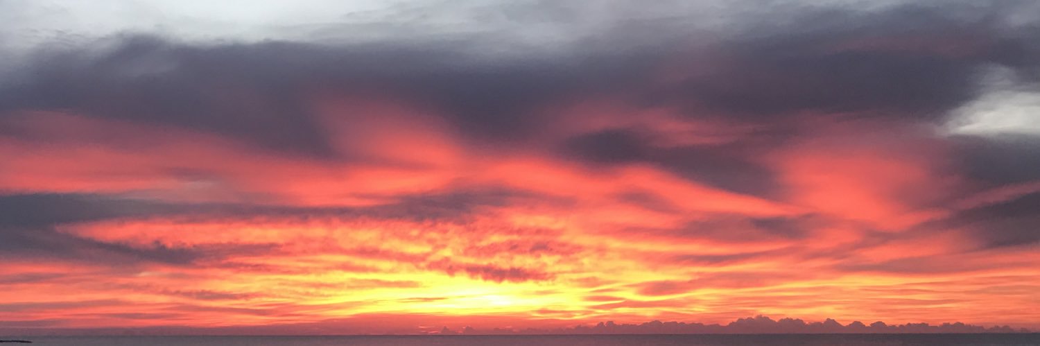 akarolis's profile banner image