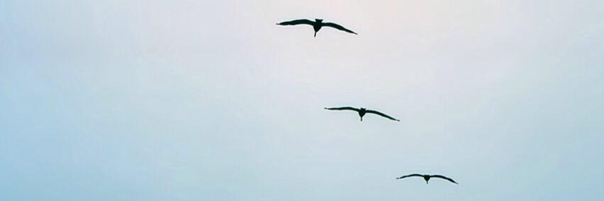 elaineeeysn's profile banner image