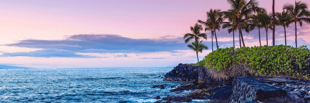 JuliSchultz's profile banner image