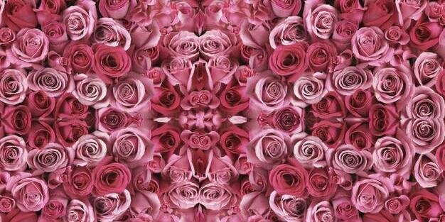 RachelRosepower's profile banner image