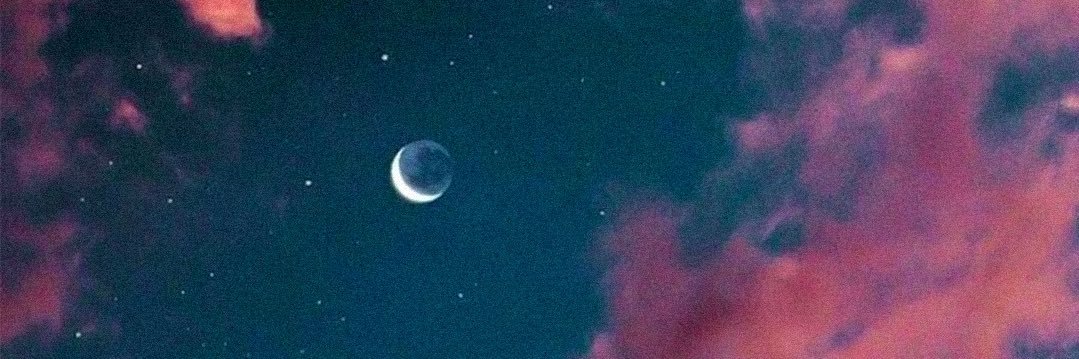 Matteo Manzolli banner