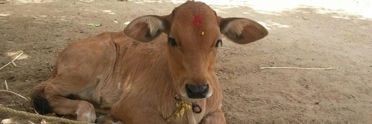 navin688's profile banner image