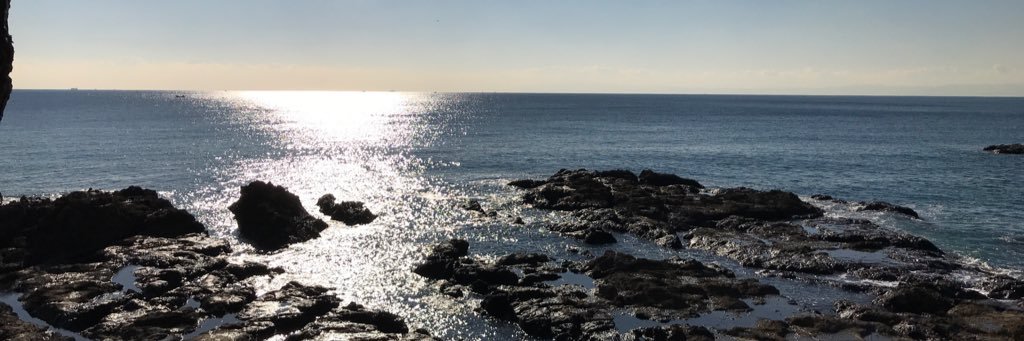 rei_chami's profile banner image
