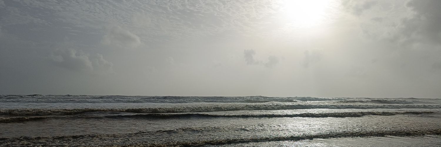 AbeerPandey's profile banner image
