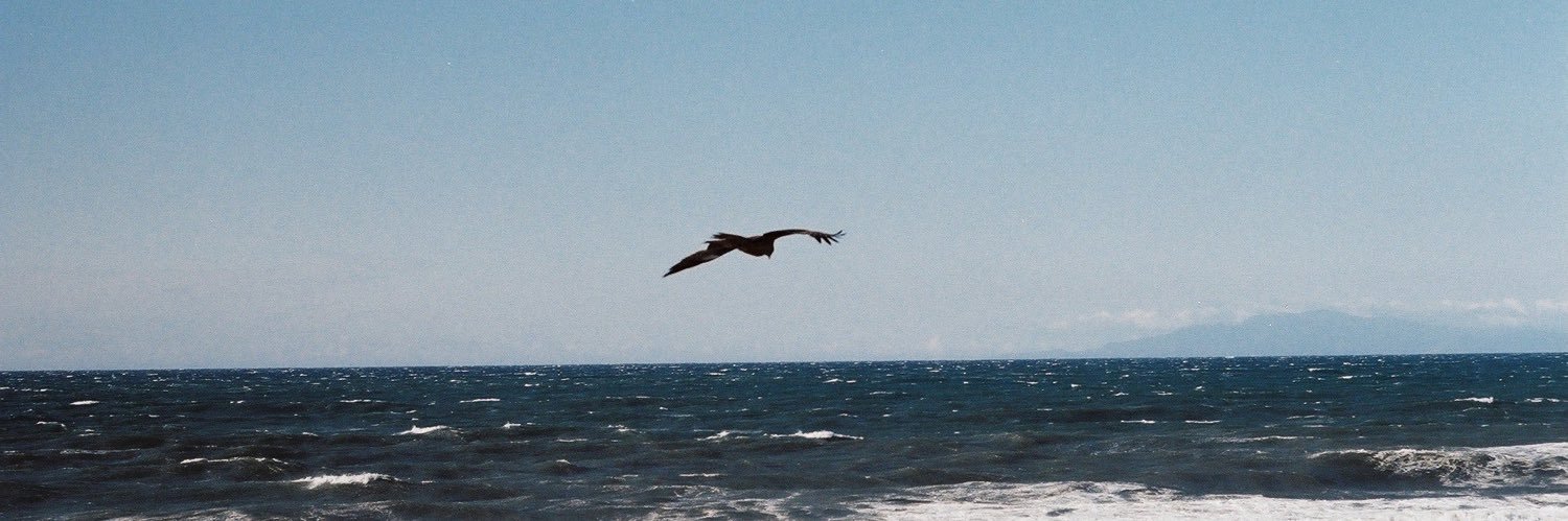 lake_311's profile banner image