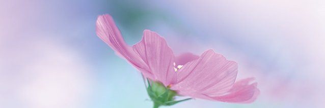 yuusuke6312's profile banner image