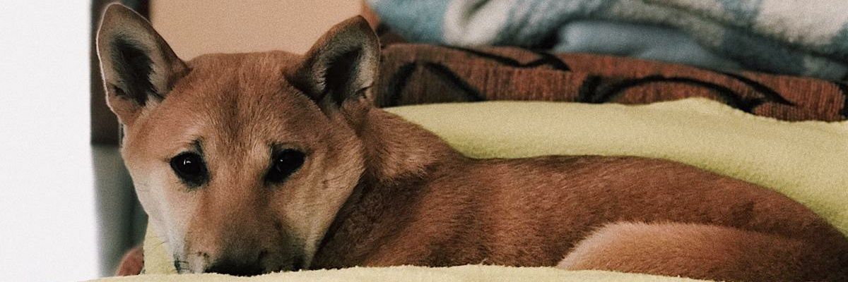 borja26399's profile banner image