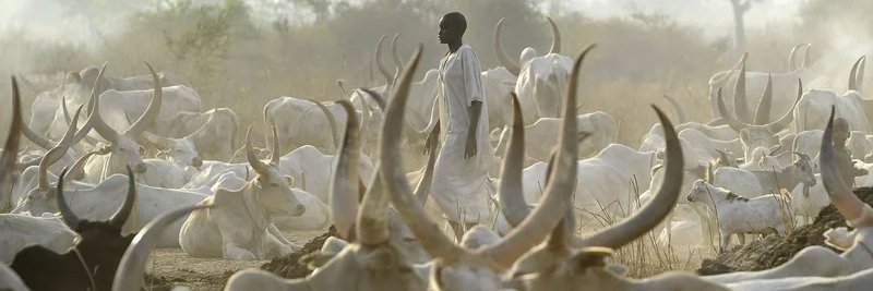 Virginia M. Moncrieff 🐀 banner