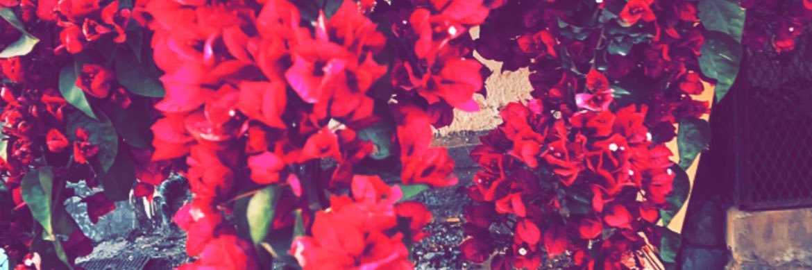 Abdullah_x23's profile banner image