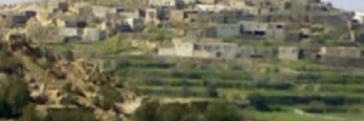AliAlqurni's profile banner image