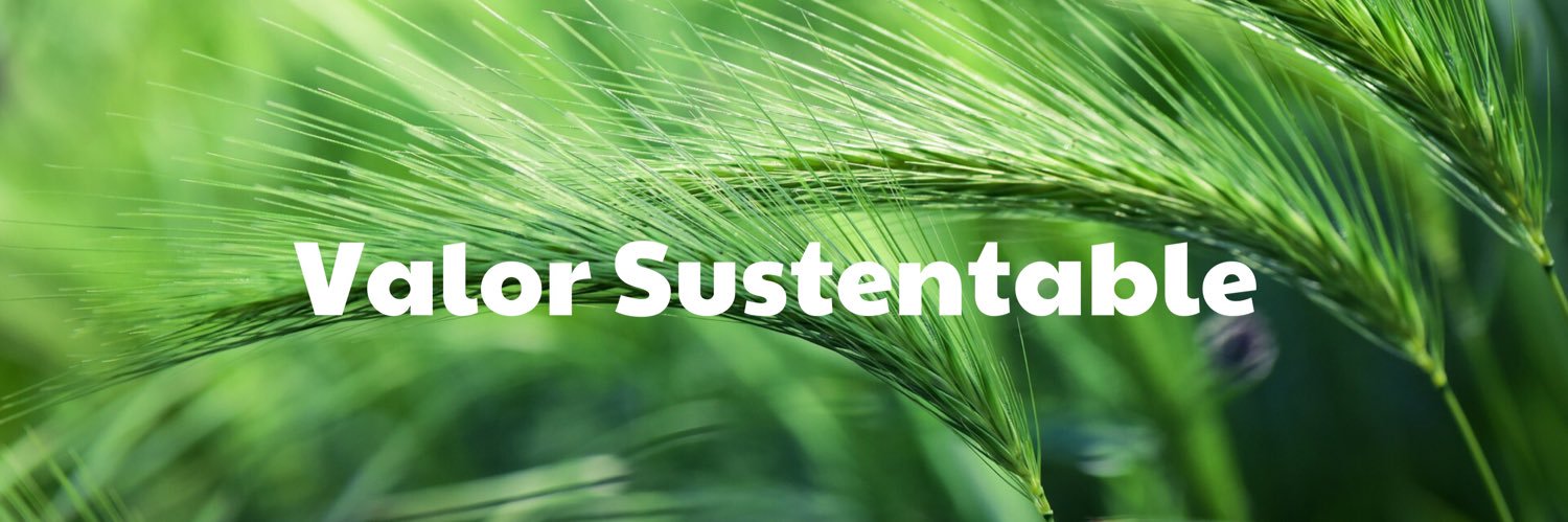 Valor ESG banner