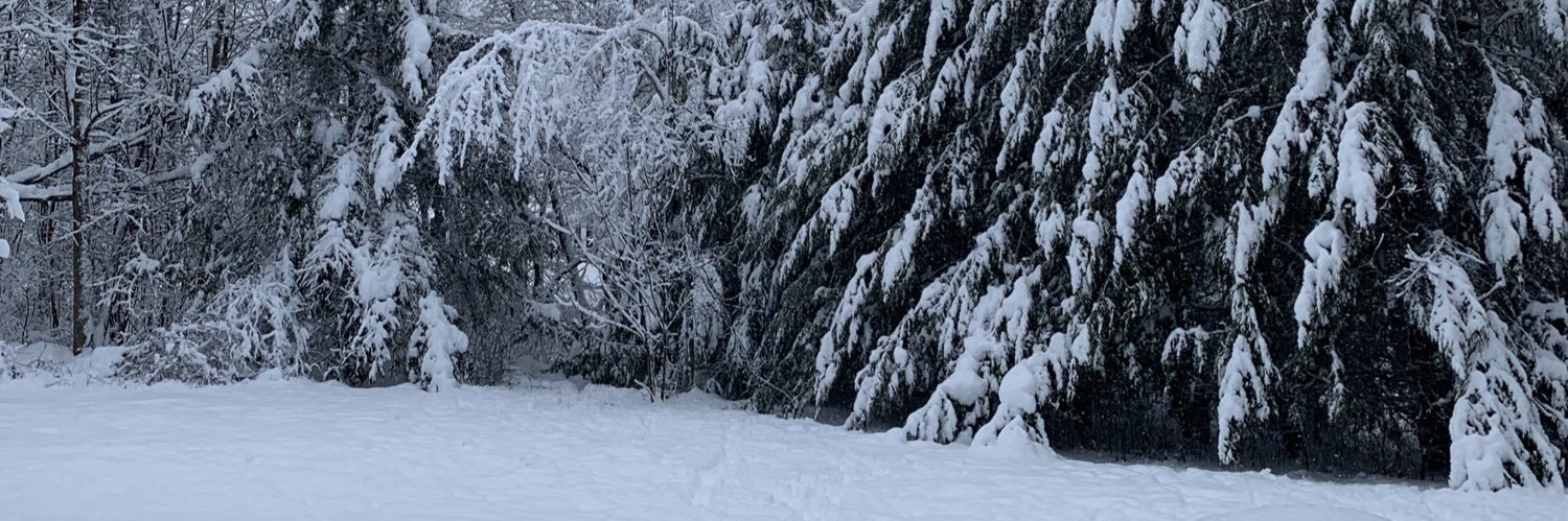 snowmeditations's profile banner image