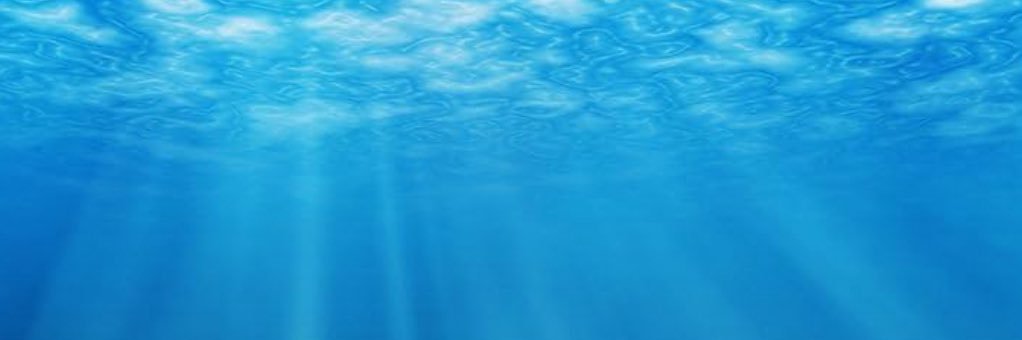 Jennifer Cleveland banner