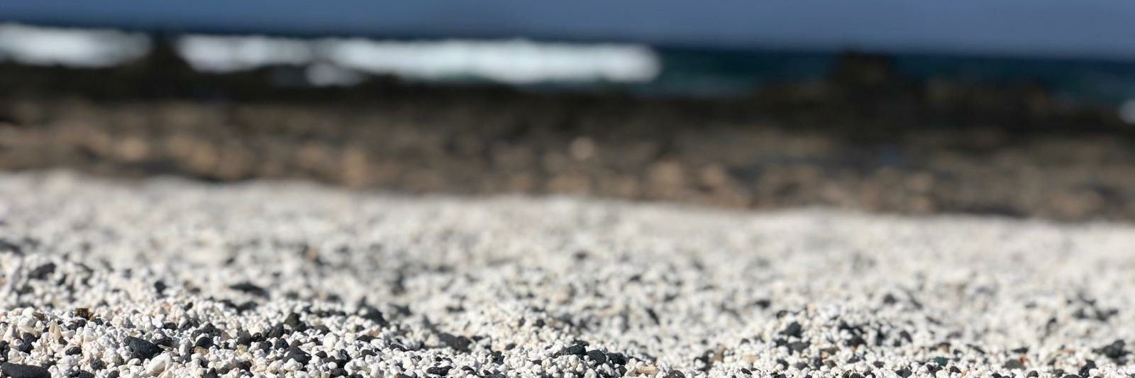 Rosariolopezc's profile banner image