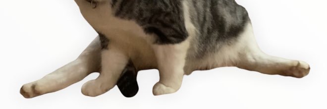 judemllrs's profile banner image