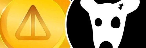 deju_deju's profile banner image