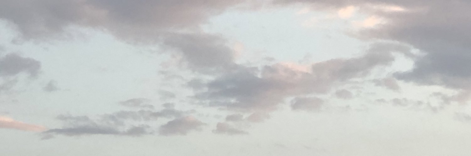 paaulasc's profile banner image