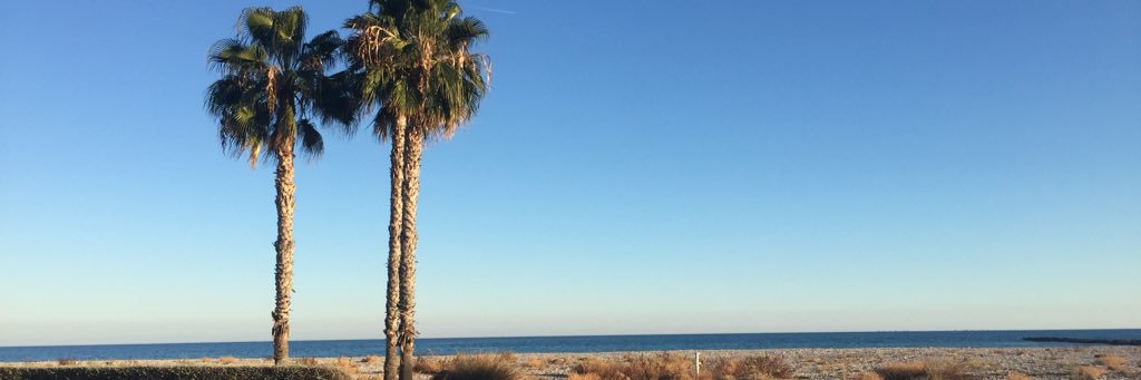mjsafont's profile banner image