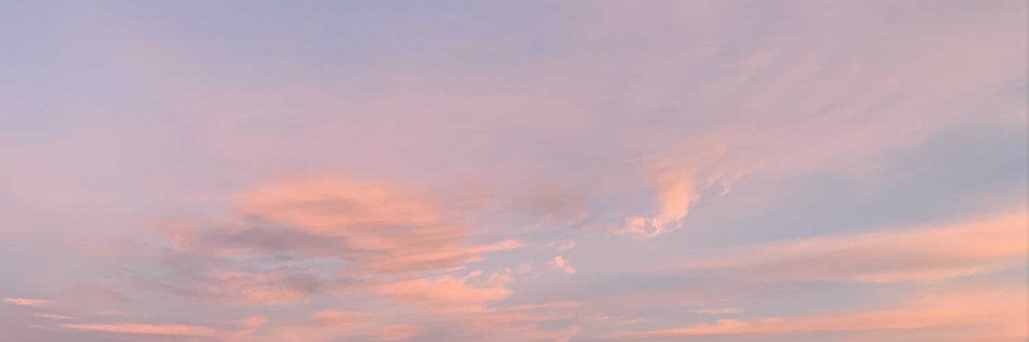 brunarr29's profile banner image