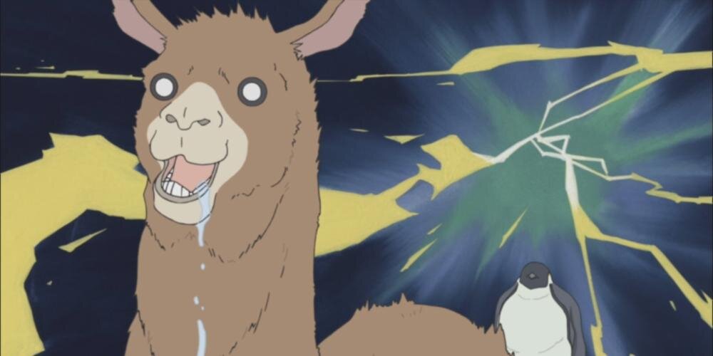 llamap0wer's profile banner image