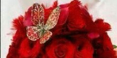 wafa_net's profile banner image