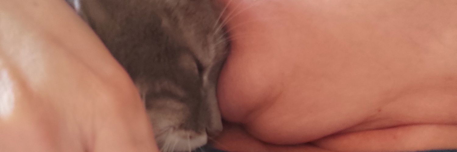 gusapi's profile banner image