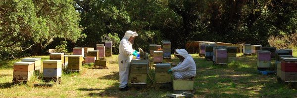 SteGillman Profile Banner