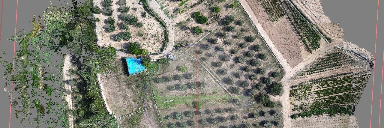 David Trashumante banner